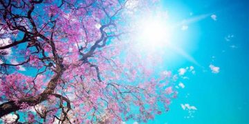 Ανοιξιάτικος ο καιρός το τριήμερο της 25ης Μαρτίου