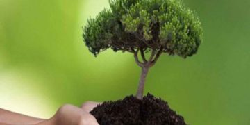 Δενδροφυτεύσεις θα πραγματοποιήσουν μαθητές σχολείων στη Δ. Μακεδονία- Και στην Πτολεμαΐδα