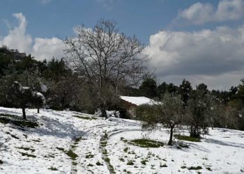Καιρός-Αρναούτογλου: Χιόνια και χαμηλές θερμοκρασίες έρχονται στο τέλος της εβδομάδας