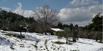 Καιρός-Αρναούτογλου: Χιόνια και χαμηλές θερμοκρασίες έρχονται στο τέλος της εβδομάδας