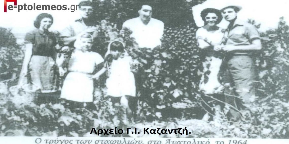 Συγγενική-φιλική παρέα στον τρύγο (μάζεμα) των σταφυλιών στο Ανατολικό το 1964– Από τη στήλη του Γ. Καζαντζή στον Παλμό 30/3
