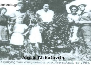 Συγγενική-φιλική παρέα στον τρύγο (μάζεμα) των σταφυλιών στο Ανατολικό το 1964– Από τη στήλη του Γ. Καζαντζή στον Παλμό 30/3