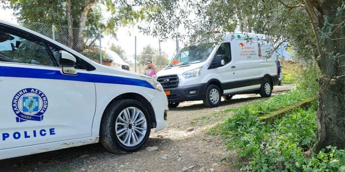 ΚΕΔΕ: Αναγκαία η οικονομική ενίσχυση των Δήμων, για τη διασφάλιση κατάλληλων συνθηκών φιλοξενίας για τα αδέσποτα ζώα