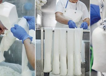 Η τέχνη της παραδοσιακής παρασκευής του τυριού Μανούρι Βλάστης εγγράφεται στο Εθνικό Ευρετήριο Άυλης Πολιτιστικής Κληρονομιάς της Ελλάδας