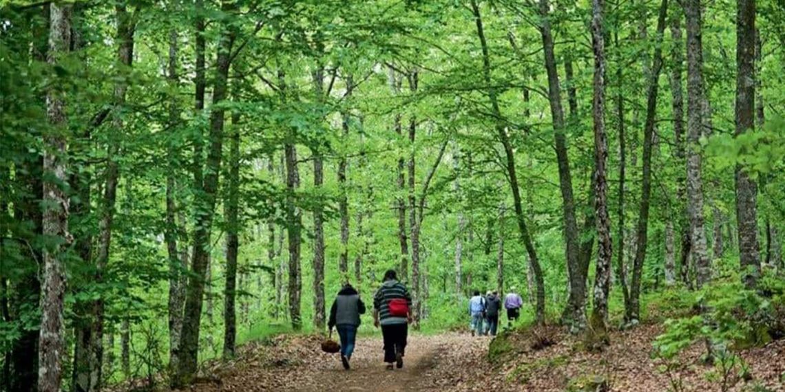 Τριήμερη εξόρμηση από τον ΣΕΟ Κοζάνης από 25 έως 27 Μαρτίου στην Αρναία Χαλκιδικής
