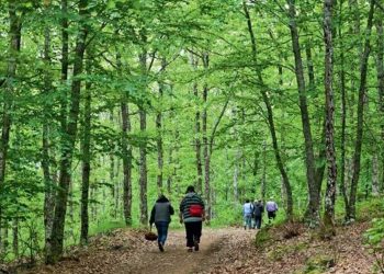 Τριήμερη εξόρμηση από τον ΣΕΟ Κοζάνης από 25 έως 27 Μαρτίου στην Αρναία Χαλκιδικής