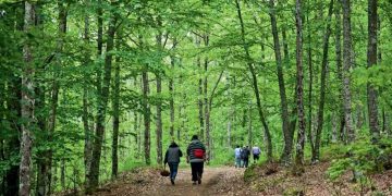 Τριήμερη εξόρμηση από τον ΣΕΟ Κοζάνης από 25 έως 27 Μαρτίου στην Αρναία Χαλκιδικής