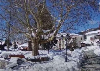 ”Ανοιξιάτικη” βόλτα στην Βλάστη (Βίντεο)