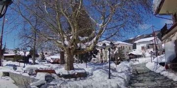 ”Ανοιξιάτικη” βόλτα στην Βλάστη (Βίντεο)