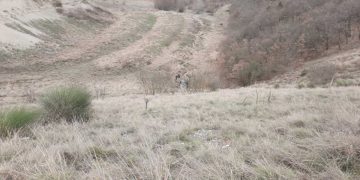 Τροχαίο ατύχημα στη Εγνατία οδό έξω από τα Γρεβενά – IX έπεσε σε χαράδρα 70 μέτρων