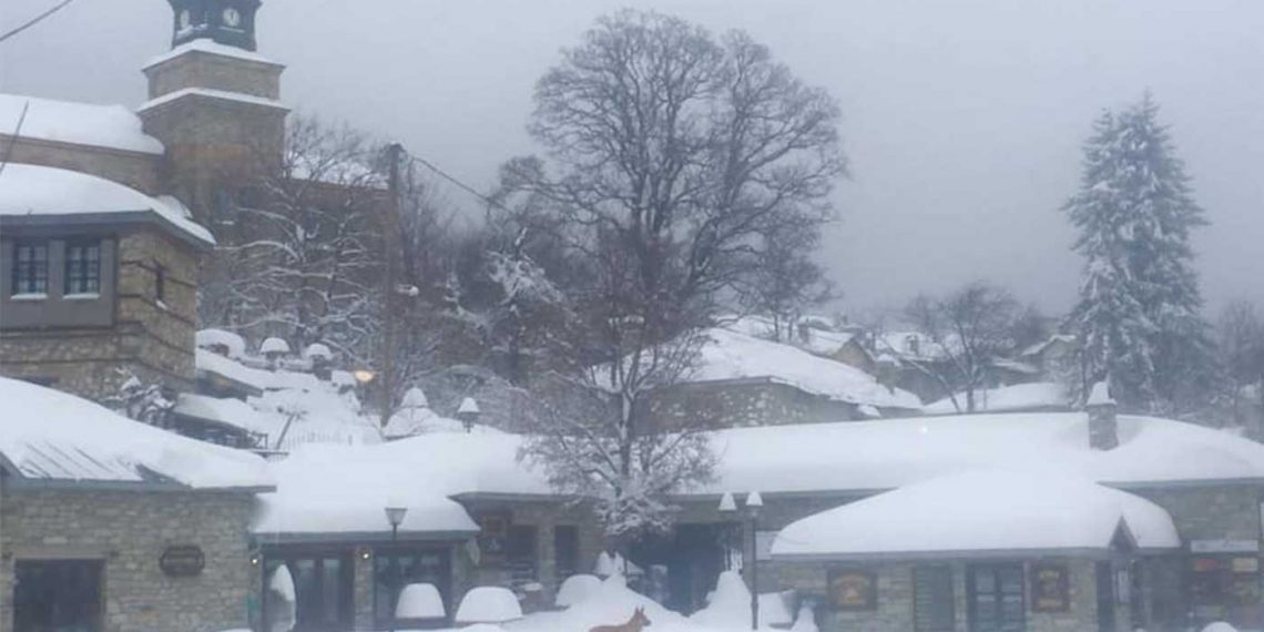 Πανέμορφες εικόνες από το χιονισμένο Νυμφαίο