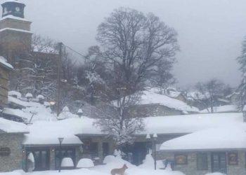 Πανέμορφες εικόνες από το χιονισμένο Νυμφαίο