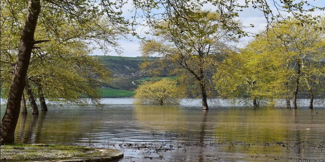 Όμορφες εικόνες από το Πλατανόδασος Ρυμνίου στην λίμνη Πολυφύτου (Φωτογραφίες)!!!