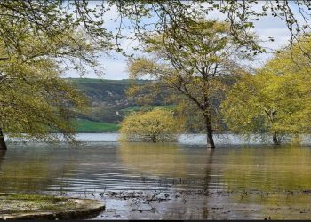 Όμορφες εικόνες από το Πλατανόδασος Ρυμνίου στην λίμνη Πολυφύτου (Φωτογραφίες)!!!