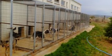 Καταφύγιο αδέσποτων ζώων στο Βελβεντό- Προχωρά σε αγορά οικοπέδου ο Δήμος
