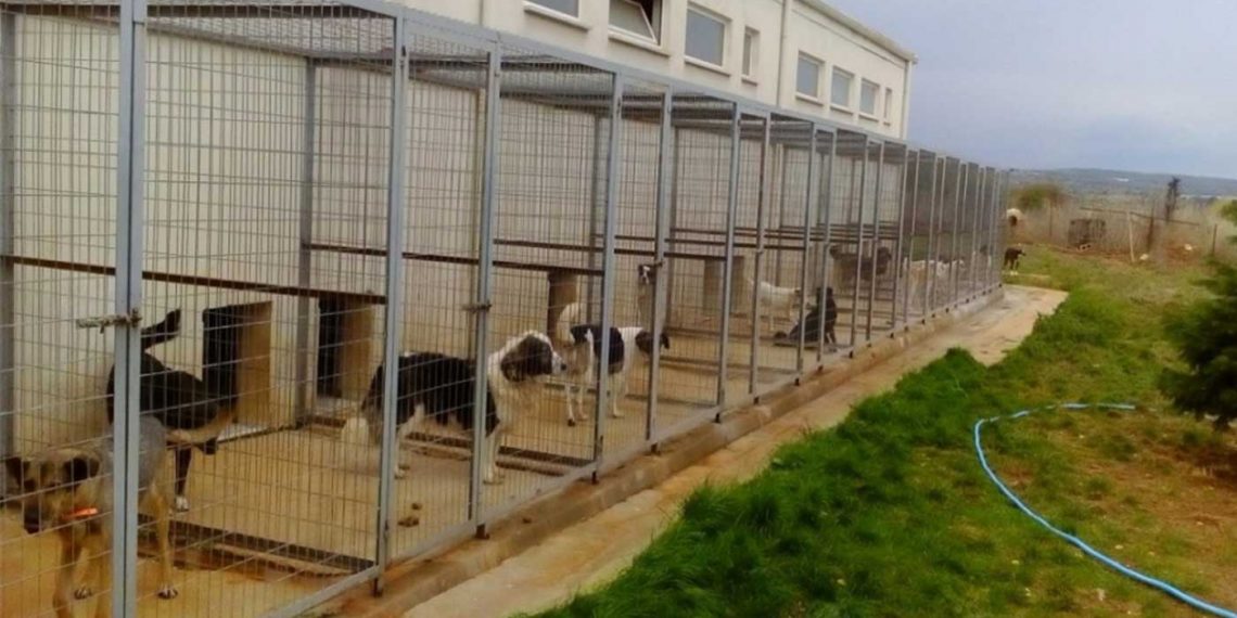 Καταφύγιο αδέσποτων ζώων στο Βελβεντό- Προχωρά σε αγορά οικοπέδου ο Δήμος