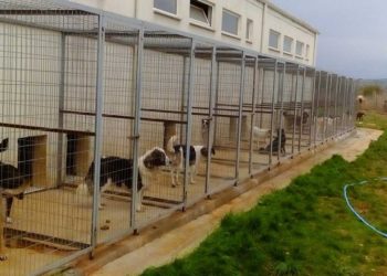 Καταφύγιο αδέσποτων ζώων στο Βελβεντό- Προχωρά σε αγορά οικοπέδου ο Δήμος