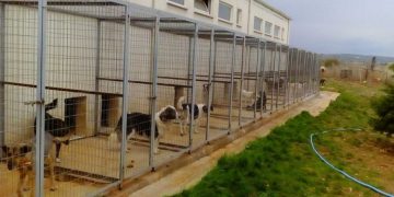 Καταφύγιο αδέσποτων ζώων στο Βελβεντό- Προχωρά σε αγορά οικοπέδου ο Δήμος