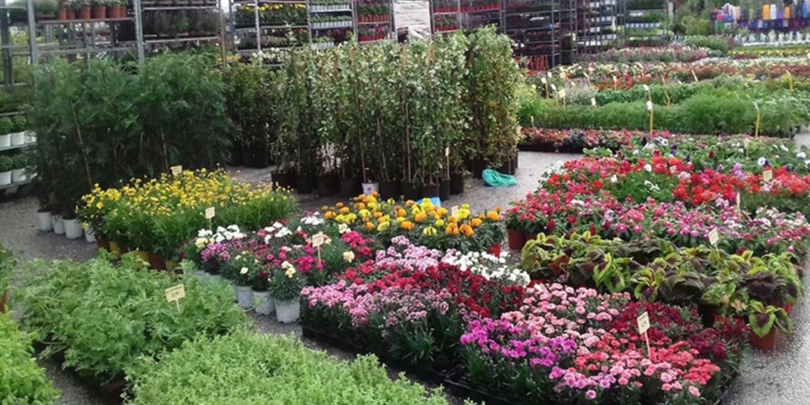 Επανέρχεται η Ανθοκομική Έκθεση στην Πτολεμαΐδα