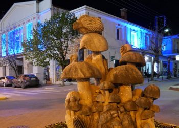 Δήμος Γρεβενών: “Φωτίζουμε μπλε το Δημαρχείο μας για τα παιδιά με σοβαρές ασθένειες” – Το Make-A-Wish γιορτάζει την Παγκόσμια Ημέρα Ευχής και «φωτίζει» ξανά την ελπίδα 