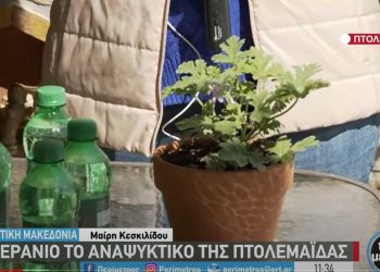 Γεράνιο: Το αναψυκτικό της Πτολεμαΐδας, με απόσταγμα αρμπαρόριζας, που παράγει ένας πολιτικός μηχανικός-VIDEO