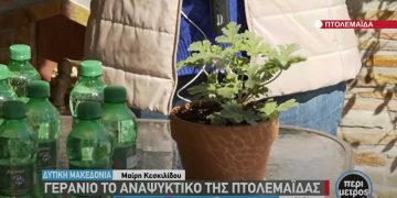 Γεράνιο: Το αναψυκτικό της Πτολεμαΐδας, με απόσταγμα αρμπαρόριζας, που παράγει ένας πολιτικός μηχανικός-VIDEO