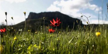 Καιρός: Πάσχα με 26άρια και ισχυρούς ανέμους, αφρικανική σκόνη και αύριο