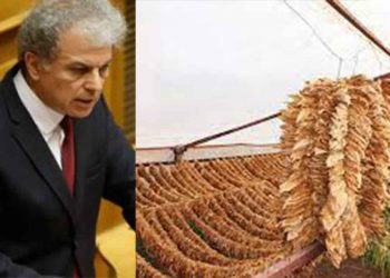 Αίσιο τέλος για 1115 οικογένειες σε όλη την Ελλάδα από πώληση καπνών που έμεναν απλήρωτα για μερικά χρόνια