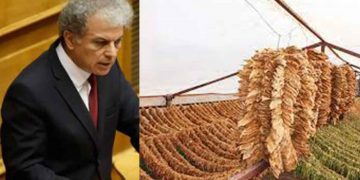 Αίσιο τέλος για 1115 οικογένειες σε όλη την Ελλάδα από πώληση καπνών που έμεναν απλήρωτα για μερικά χρόνια