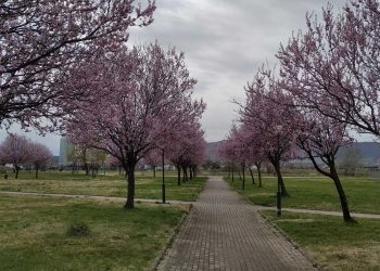 Πανέμορφες φωτογραφίες από το πάρκο εκτάκτων αναγκών στην Πτολεμαΐδα