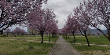 Πανέμορφες φωτογραφίες από το πάρκο εκτάκτων αναγκών στην Πτολεμαΐδα