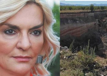 Π. Πέρκα: Μετατροπή του ανενεργού εδώ και 20 χρόνια ορυχείου της Βεγόρας στο Αμύνταιο σε αμπελώνες