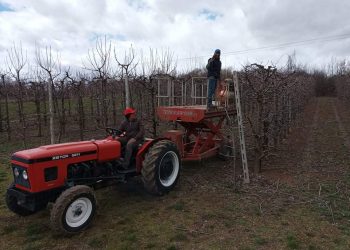 Για τη χρονοβόρα καθυστέρηση καταβολής των ΑΠΟΖΗΜΙΩΣΕΩΝ και για την ολοκλήρωση των εργασιών κλαδέματος , μιλούν καλλιεργητές καρποφόρων δέντρων του ΜΕΣΟΒΟΥΝΟΥ Εορδαίας (ρεπορτάζ της Κούλας Πουλασιχίδου)