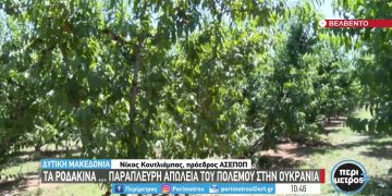 Βελβεντός Κοζάνης: Ο πόλεμος στην Ουκρανία συμπαρασύρει τις εξαγωγές ροδάκινων (Βίντεο)
