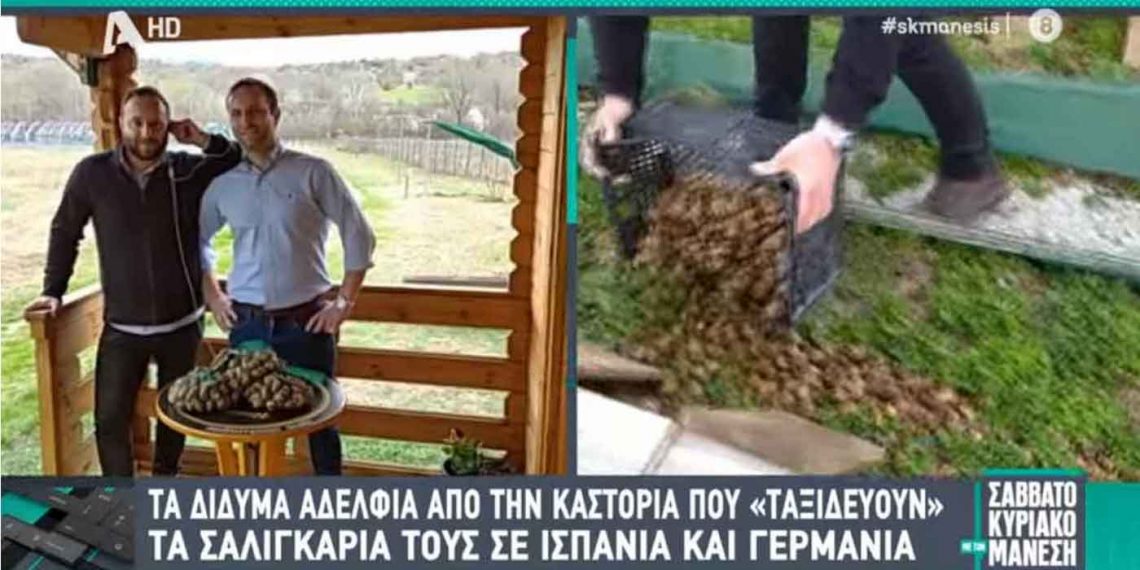Στην εκπομπή του Νίκου Μάνεση τα δίδυμα αδέρφια από το Διαλεκτό Καστοριάς που εκτρέφουν σαλιγκάρια- VIDEO