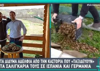 Στην εκπομπή του Νίκου Μάνεση τα δίδυμα αδέρφια από το Διαλεκτό Καστοριάς που εκτρέφουν σαλιγκάρια- VIDEO