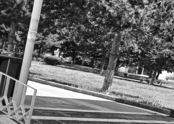 Κινδυνεύει το αλσύλλιο της ‘’Αγίας Σκέπης’’ – Από τα παραπολιτικά του Παλμού