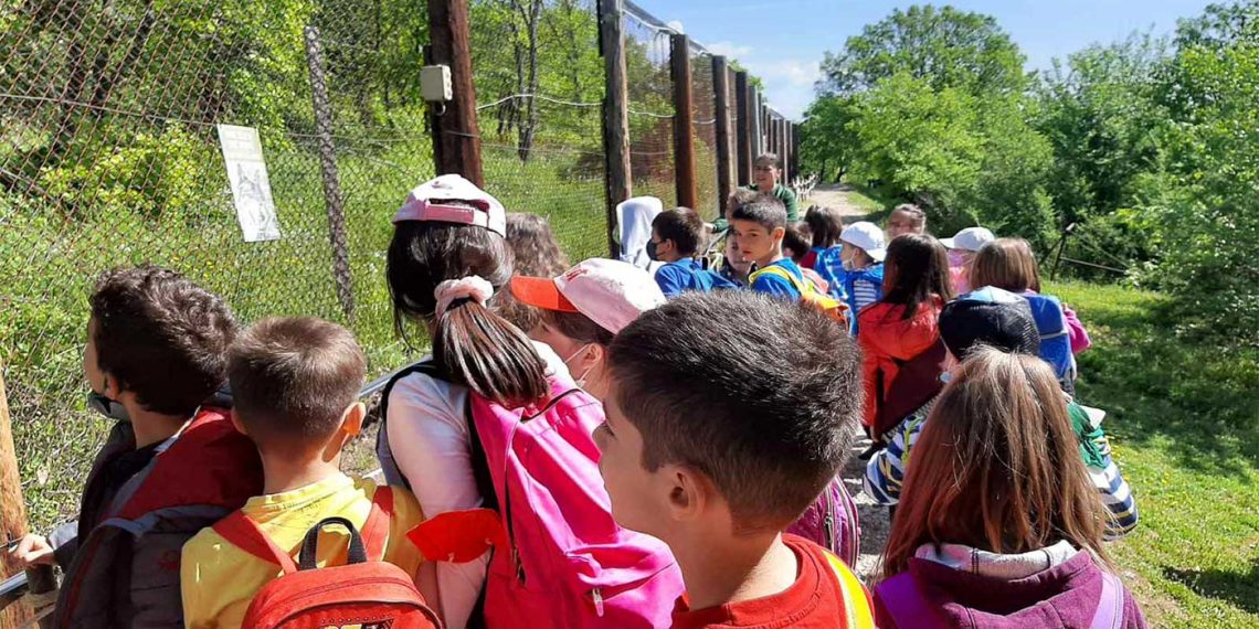 Η Β’ τάξη του 5ου Δημοτικού Σχολείου Φλώρινας έγιναν… ΑΡΚΤΟΥΡΟΙ για μία μέρα