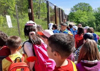 Η Β’ τάξη του 5ου Δημοτικού Σχολείου Φλώρινας έγιναν… ΑΡΚΤΟΥΡΟΙ για μία μέρα