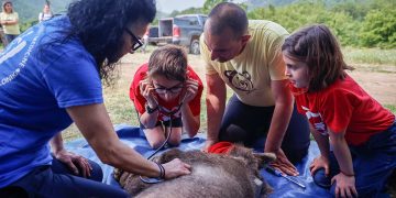 ΑΡΚΤΟΥΡΟΣ: Επανένταξη με το βλέμμα στο μέλλον της βιοποικιλότητας
