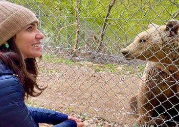 Η ανάρτηση της Υφυπουργού Δ. Μιχαηλίδου για τον Αρκτούρο και οι φωτογραφίες με τις αρκούδες