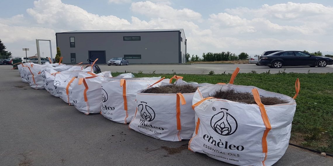 “Etheleo Essential Oils”: Ένα μοναδικό διήμερο στο αγρόκτημα καλλιέργειας αρωματικών θεραπευτικών φυτών και το αποστακτήριο!