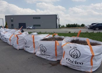 “Etheleo Essential Oils”: Ένα μοναδικό διήμερο στο αγρόκτημα καλλιέργειας αρωματικών θεραπευτικών φυτών και το αποστακτήριο!