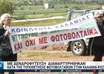 “Φυτεύουμε δέντρα και όχι φωτοβολταϊκά”, είπαν οι κάτοικοι στην Καλαμιά Κοζάνης-VIDEO