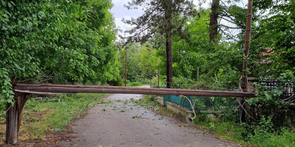 Πτώση δέντρων και προβλήματα ηλεκτροδότησης στο Καρυοχώρι μετά την κακοκαιρία