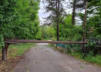 Πτώση δέντρων και προβλήματα ηλεκτροδότησης στο Καρυοχώρι μετά την κακοκαιρία