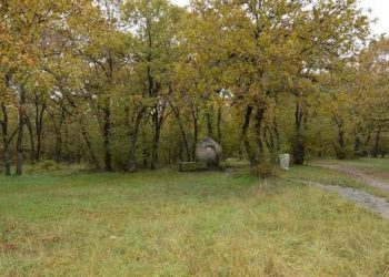 Καταστροφές σε ΔΑΚ και «Κουρί» μετά από εκδρομές σχολείων- Ενημερώνει τις Διευθύνσεις Εκπαίδευσης ο Δήμος Κοζάνης