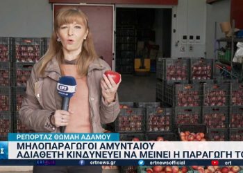 Σε απόγνωση οι μηλοπαραγωγοί Αμυνταίου για την περσινή σοδειά τους (βίντεο)