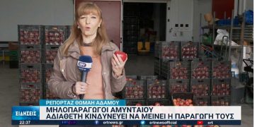 Σε απόγνωση οι μηλοπαραγωγοί Αμυνταίου για την περσινή σοδειά τους (βίντεο)