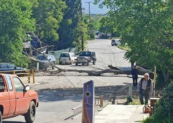 Κοζάνη: Απίστευτο βίντεο- Δείτε τη στιγμή που το μεγάλο δέντρο που έκοψε μόνος του δημότης πέφτει μέσα στο δρόμο και περνάει αυτοκίνητο